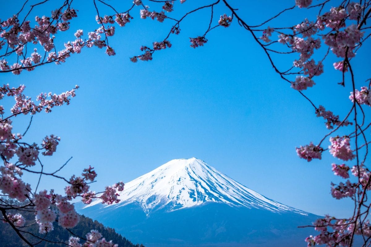 投資　日本　アメリカ